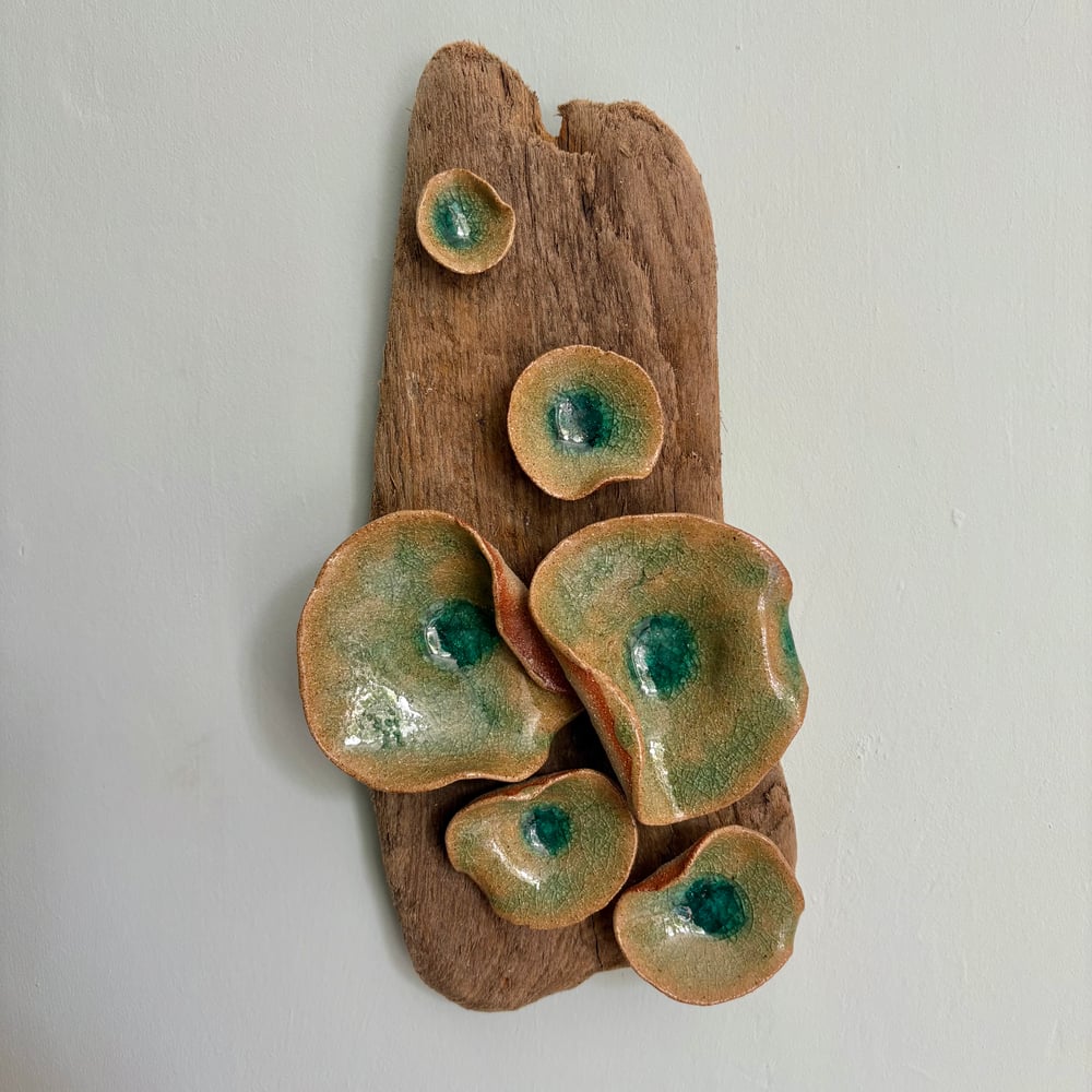 Image of Driftwood wall piece