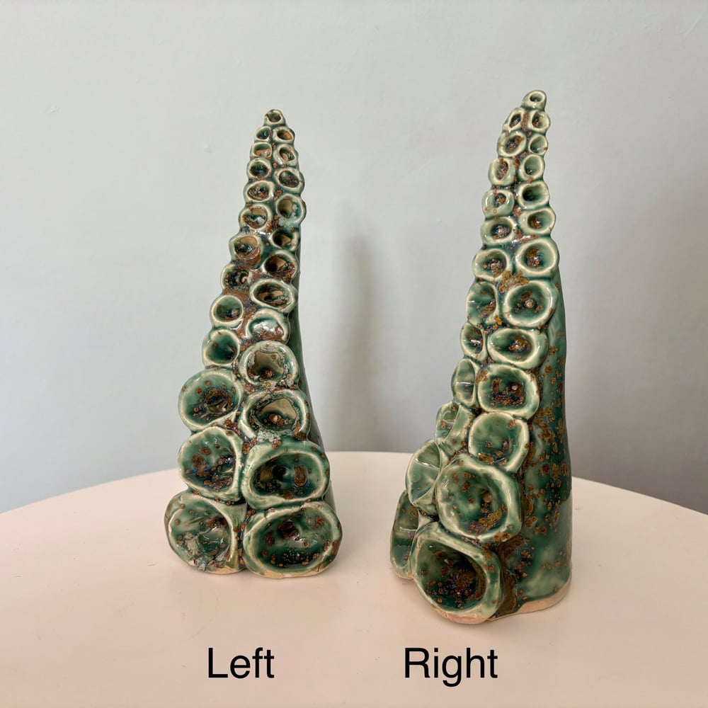 Image of Classic tentacles