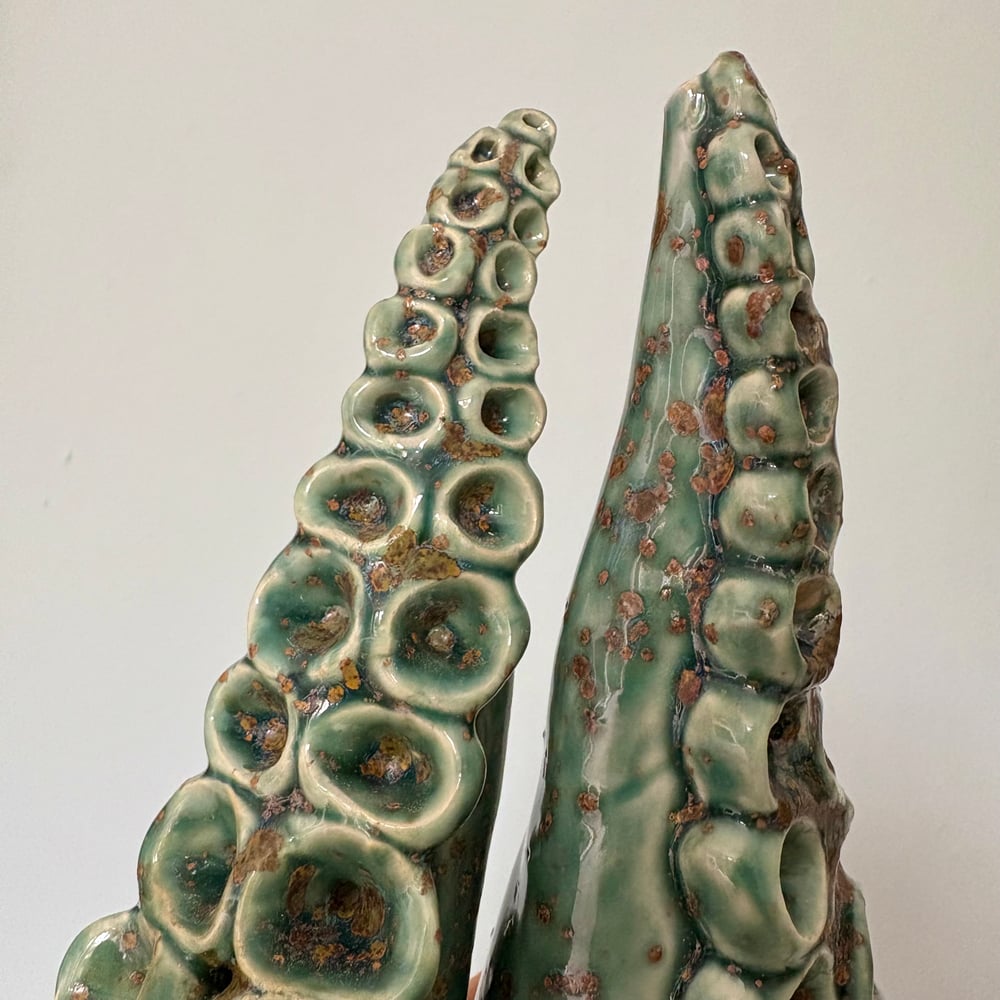Image of Classic tentacles