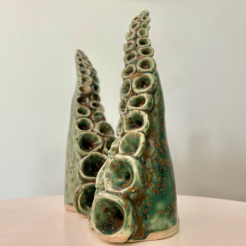 Image of Classic tentacles
