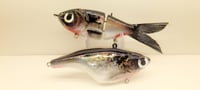 Wounded Shad Pack Combo