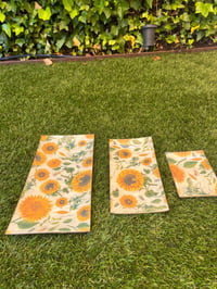 Image 2 of Colección Pilar
