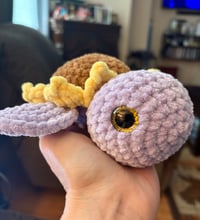 Image 1 of Sunflower Sea Turtle 