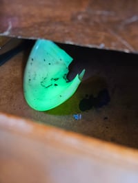 Image 1 of Custard Uranium