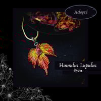 Image 9 of ☽ Humulus Lupulus ☾