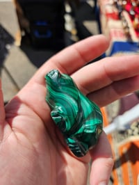 Image 1 of Frog