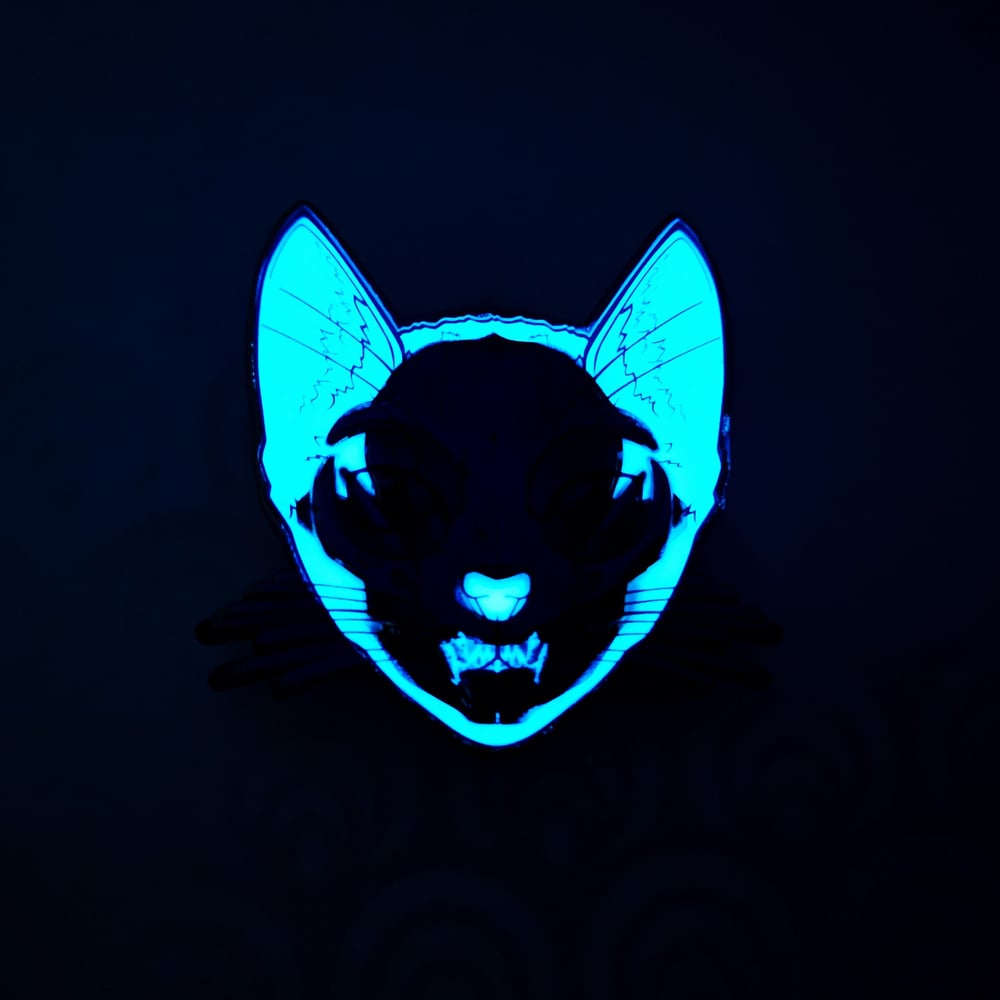 Focused Schrödinger's Cat Pin