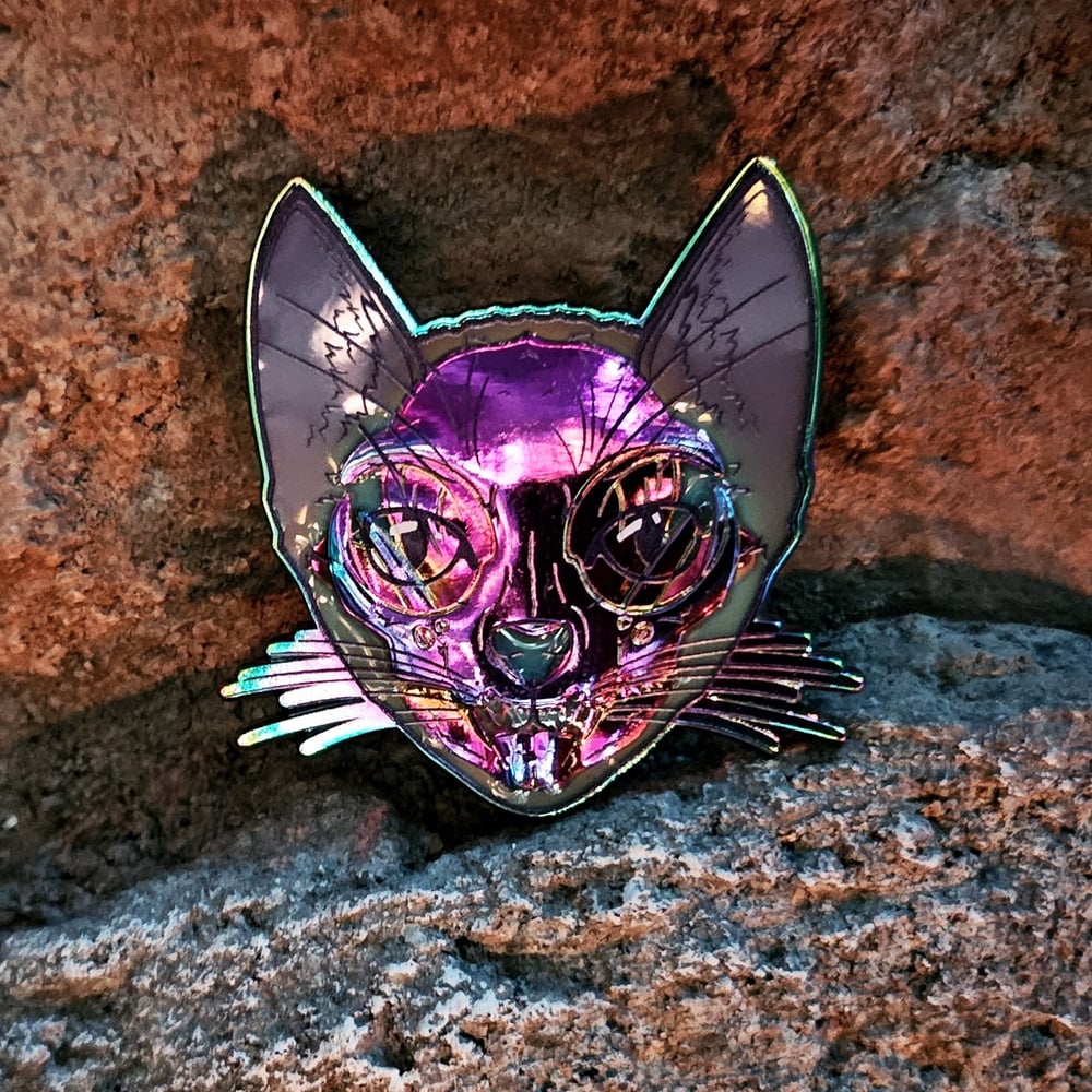 Focused Schrödinger's Cat Pin