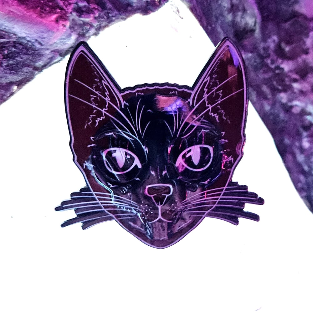 Focused Schrödinger's Cat Pin