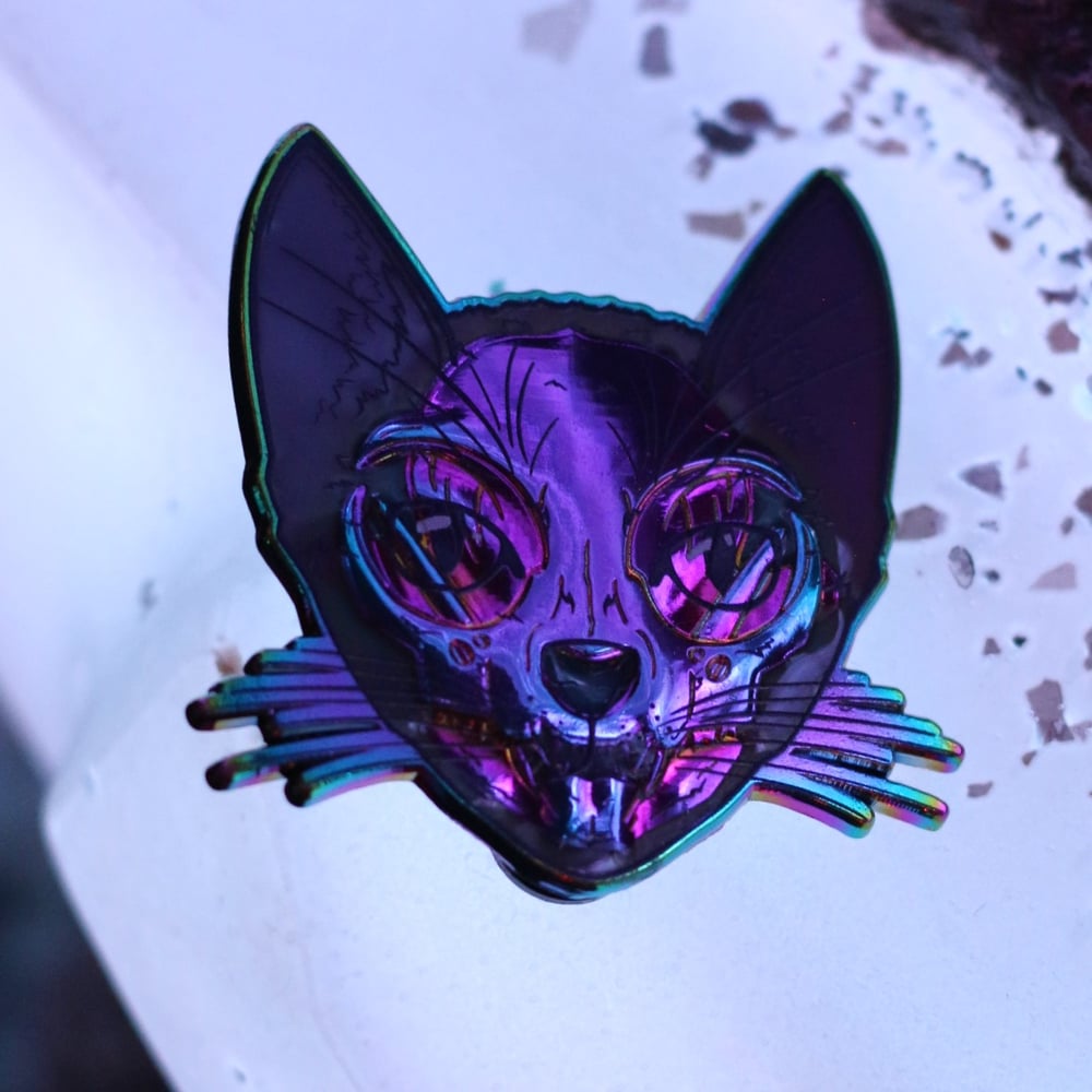 Focused Schrödinger's Cat Pin