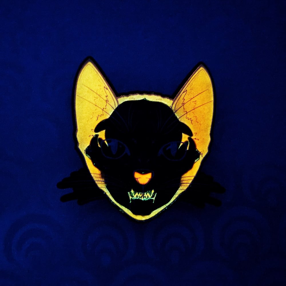 Focused Schrödinger's Cat Pin