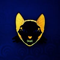 Image 5 of Focused Schrödinger's Cat Pin
