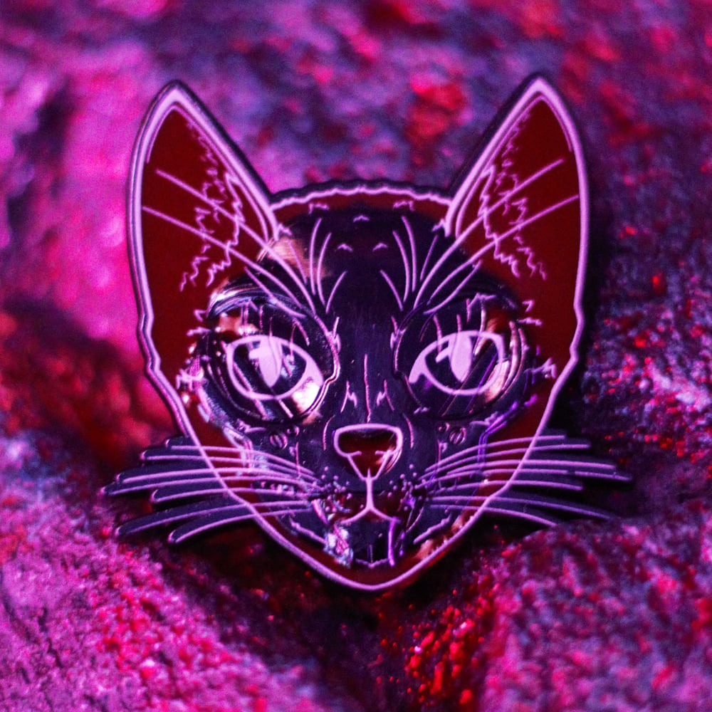 Focused Schrödinger's Cat Pin