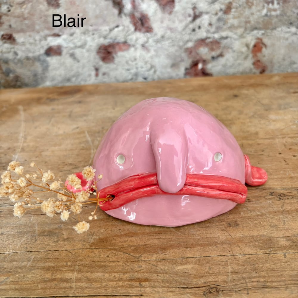 Image of Big Blobfish