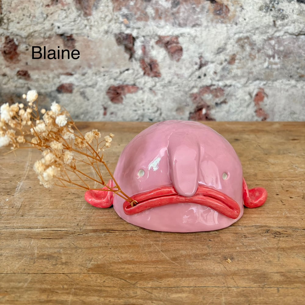 Image of Big Blobfish