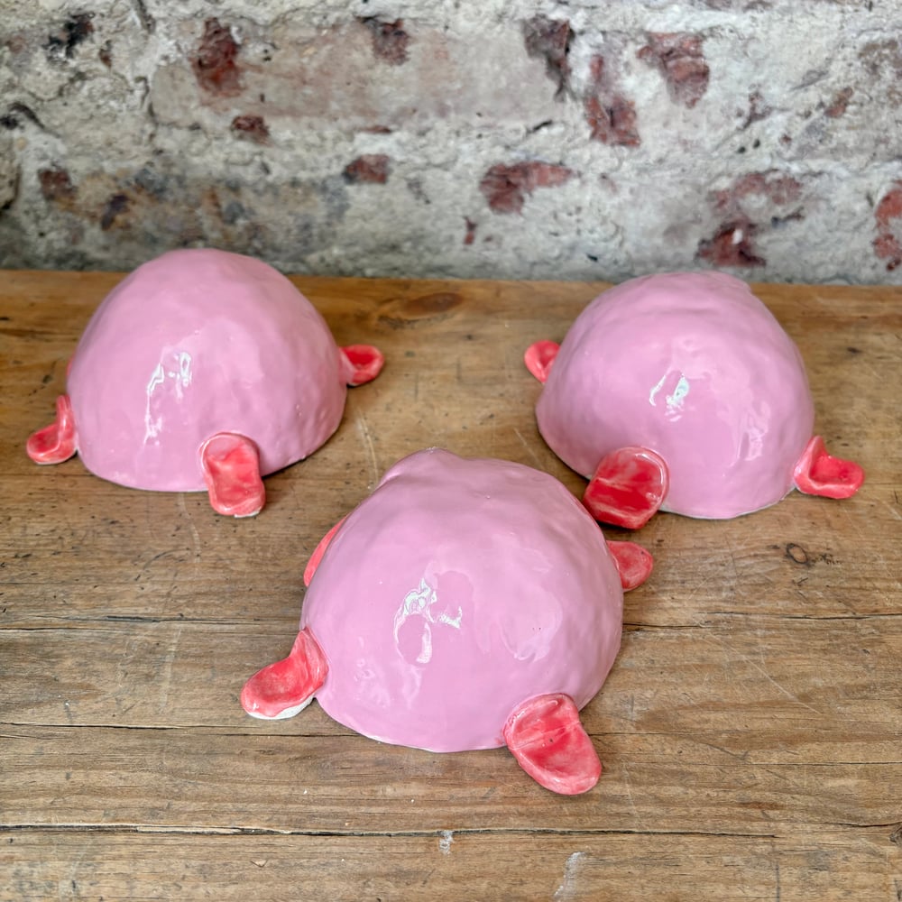Image of Big Blobfish