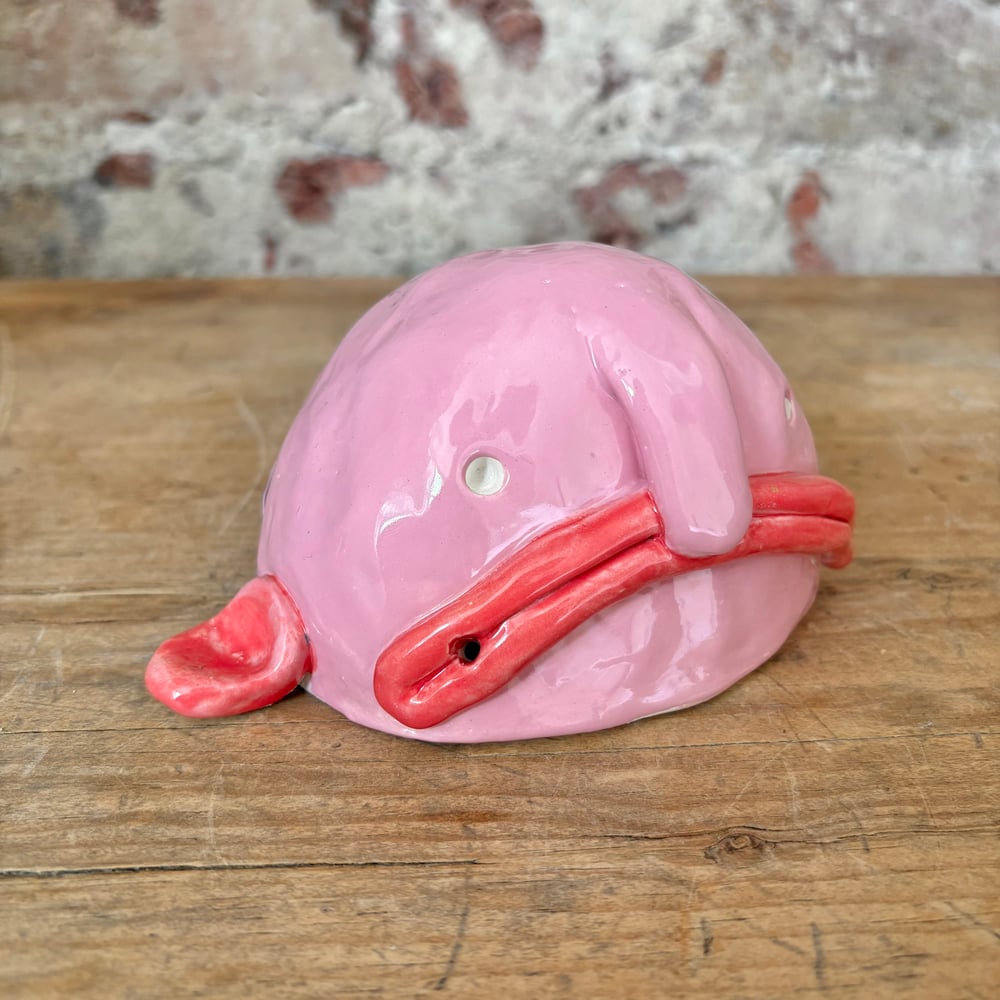 Image of Big Blobfish