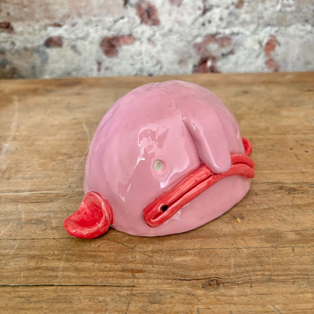 Image of Big Blobfish