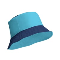 Image 2 of Minnesota State Flag Roundel Bucket Hat
