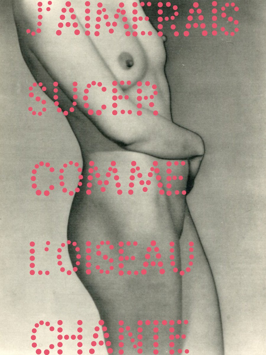 Image of L'OISEAU