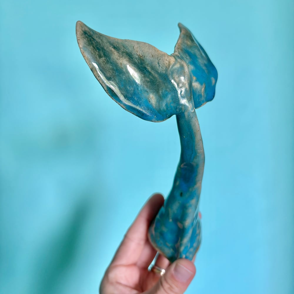 Image of Warm Shallow Whale Tail