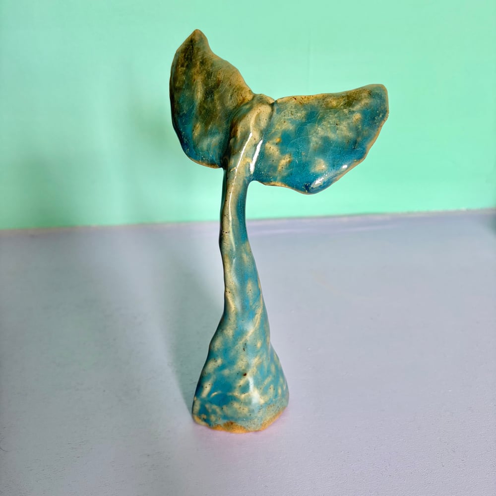 Image of Warm Shallow Whale Tail