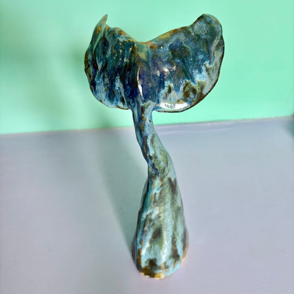 Image of Deep Ocean Fin
