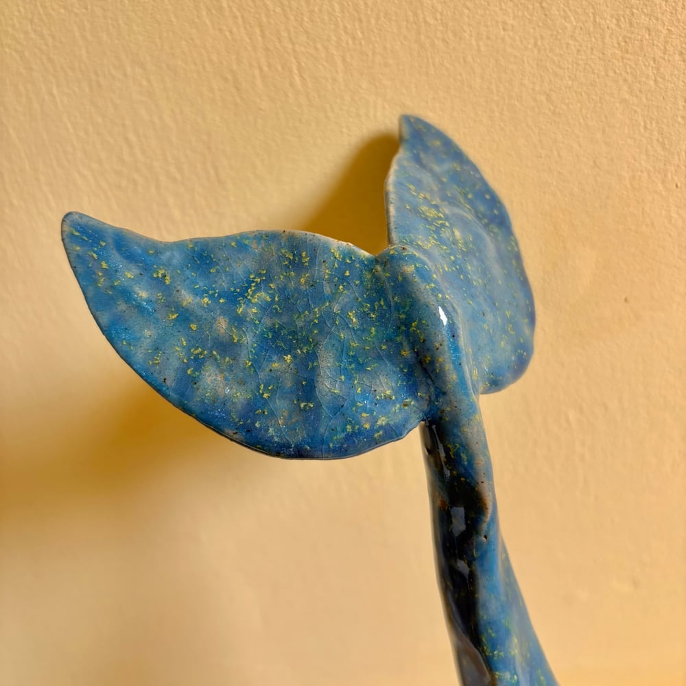 Image of King whale Fin