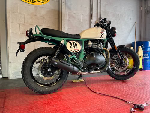 Image of 2025 Bear 650 in "249" paint