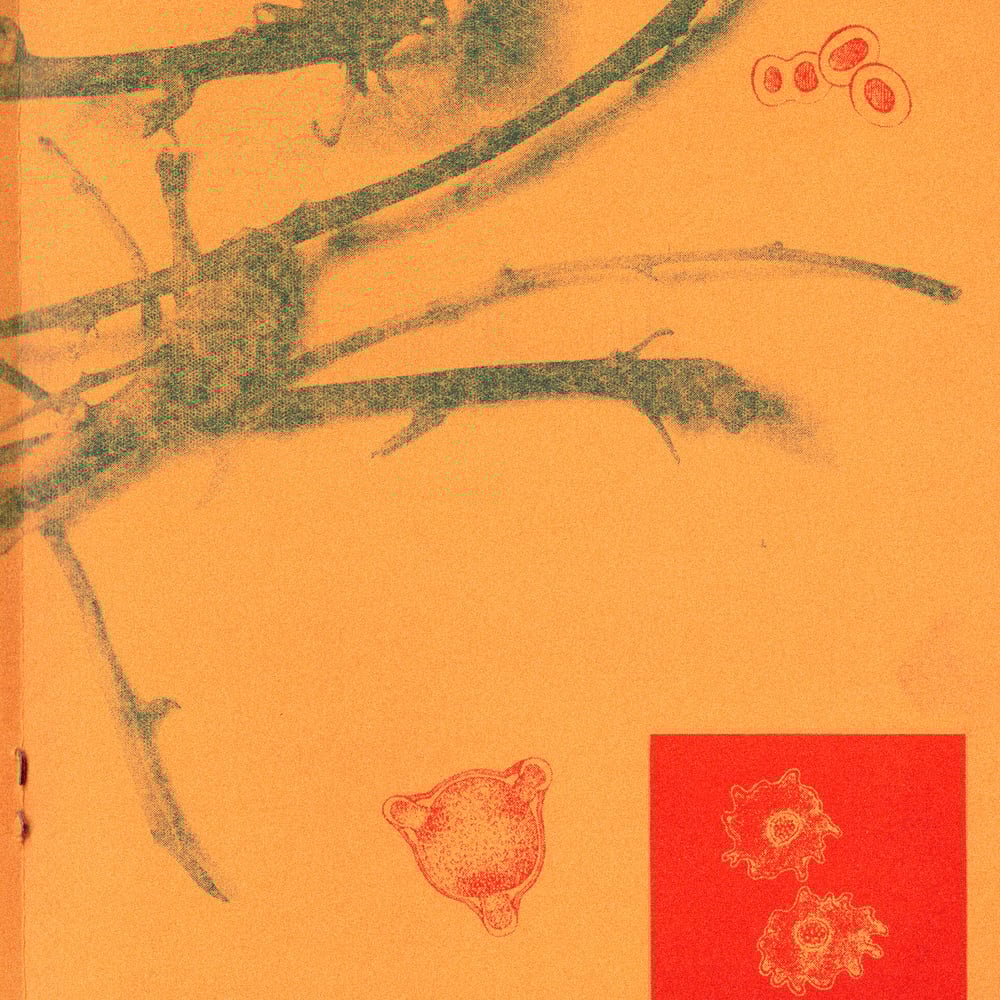 Image of [OSCAR R. RUBIO™] 出来事: 過去の同人誌