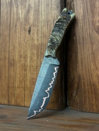 Image 2 of Rams Horn Cumai Fighter 2