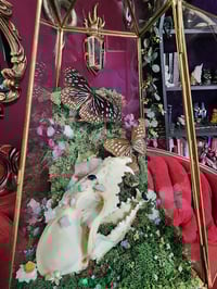 Image 1 of Dark Blue Tiger
