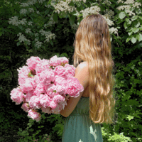 Image 2 of Peony Bouquets