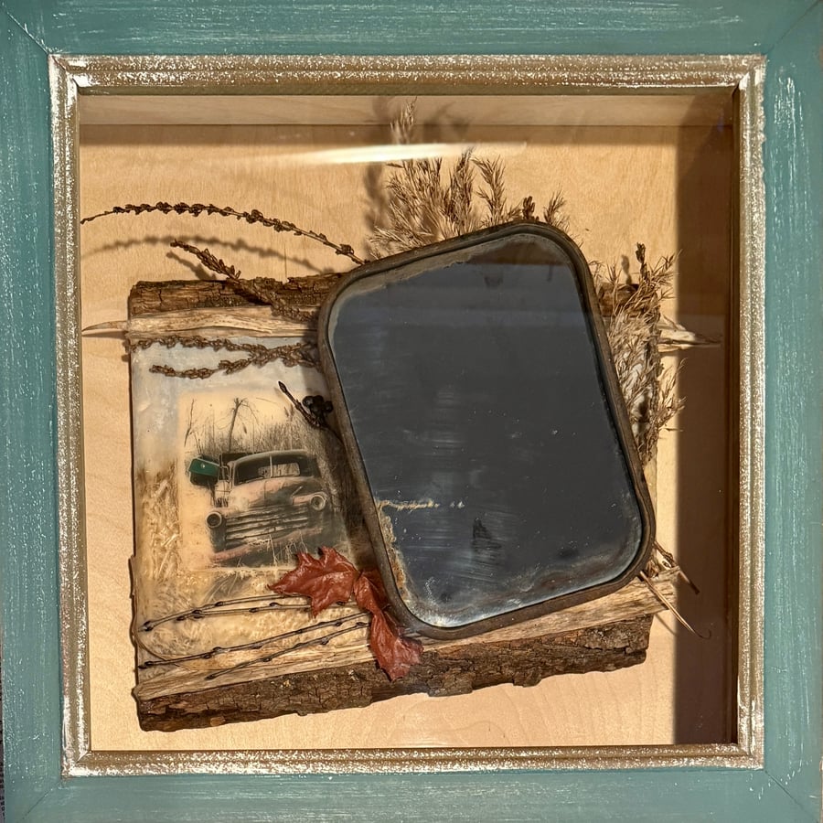 Image of Looking Back 2020- Liz Barick Fall