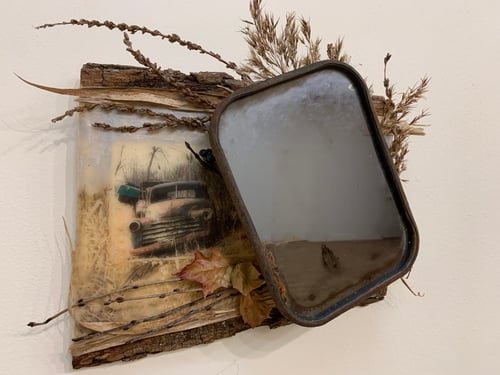 Image of Looking Back 2020- Liz Barick Fall