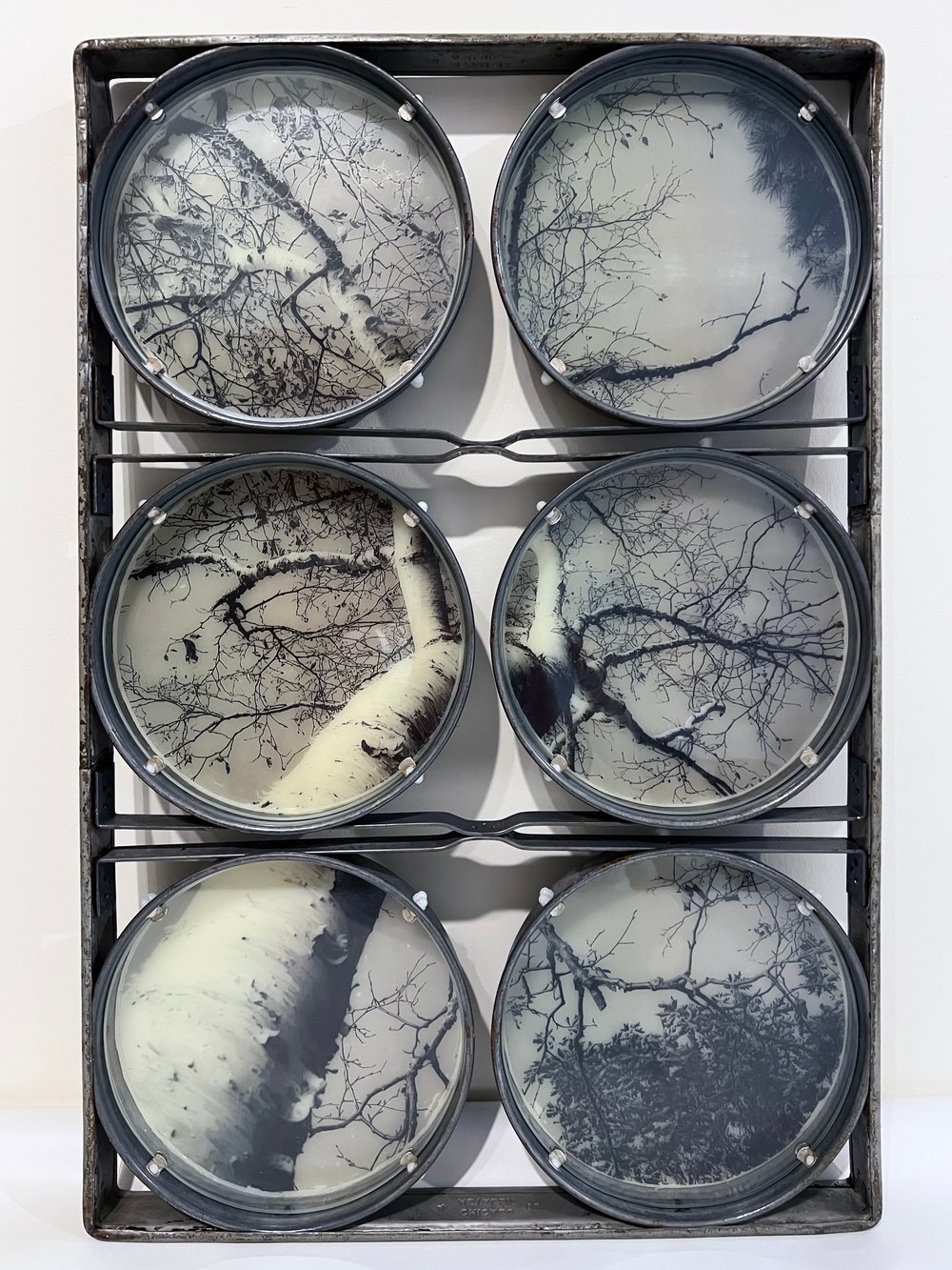 Image of The Wondering- Liz Barick Fall