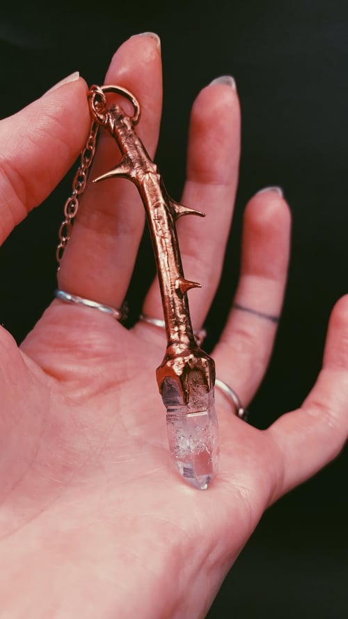 Image of Rose Thorn & Vera Cruz Amethyst