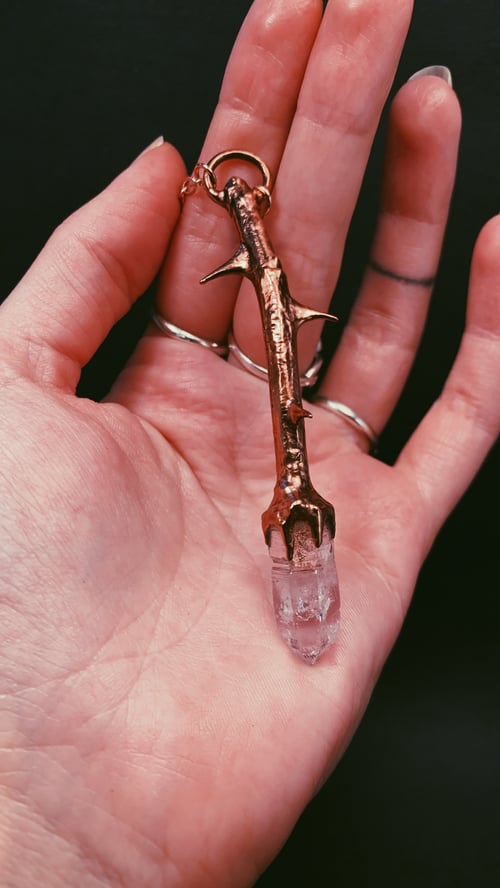 Image of Rose Thorn & Vera Cruz Amethyst