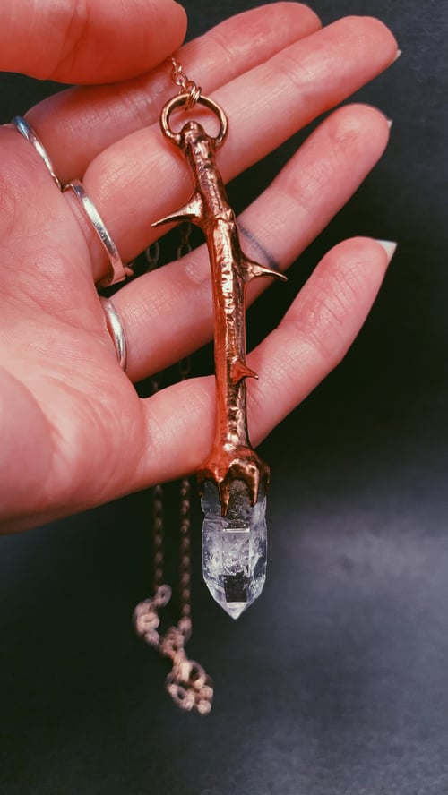 Image of Rose Thorn & Vera Cruz Amethyst