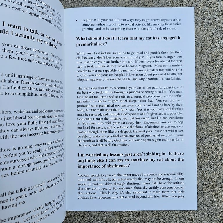 The American Association of Patriots Presents - Set of 3 Image 5