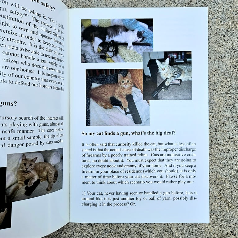 The American Association of Patriots Presents - Set of 3 Image 3