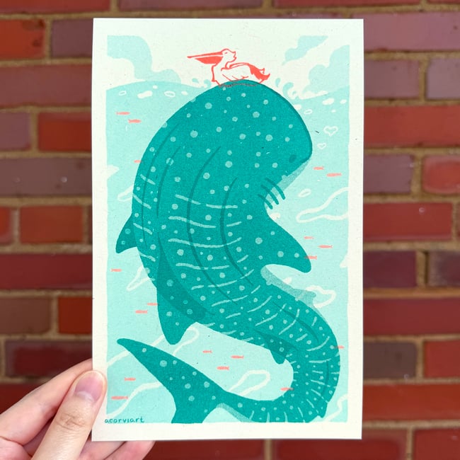 Whale Shark and Pelican (Riso Print)
