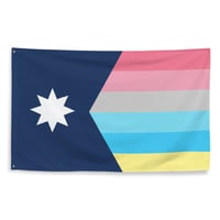 Minnesota Genderflux Pride Flag