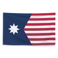 United States of Minnesota Flag
