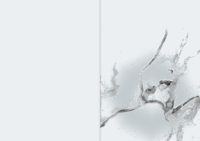 Image 4 of OBJECT - Regular Edition