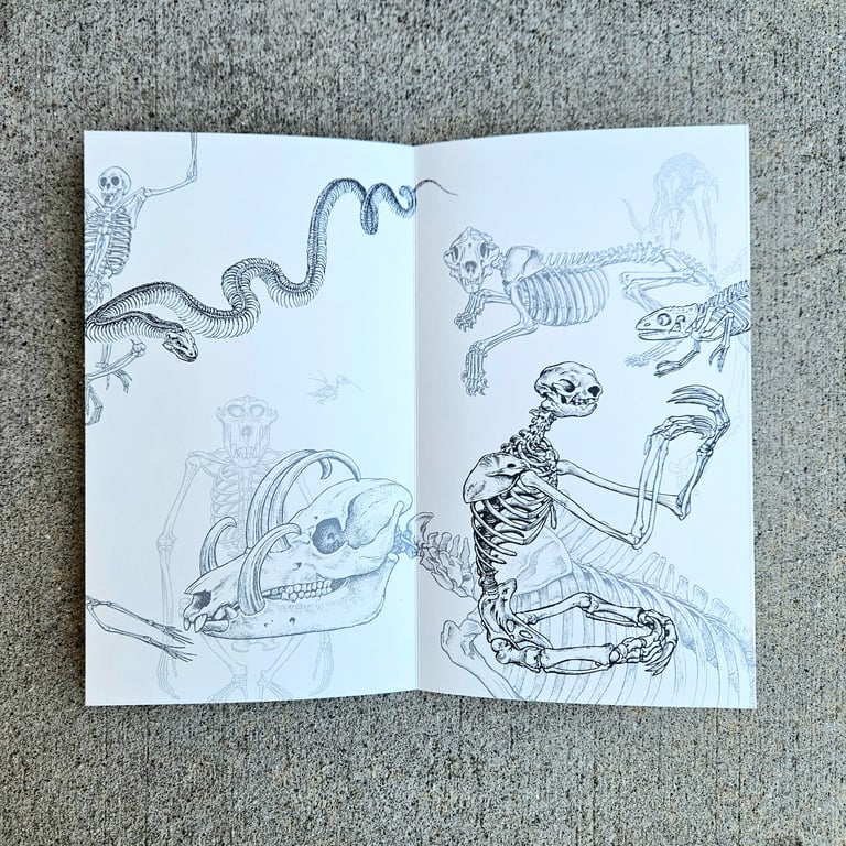 Flesh and Bone: A Colouring Concertina by John Sibbick Image 2