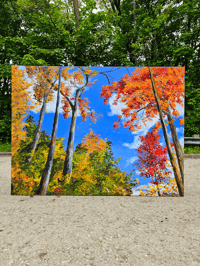 Image 3 of - Skyward -