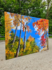 Image 4 of - Skyward -