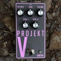PROJEKT V FUZZ