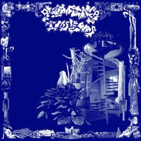 Glittering Insects - s/t lp